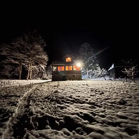 Koliba Za Odmor U Prirodi * フォイニツァ