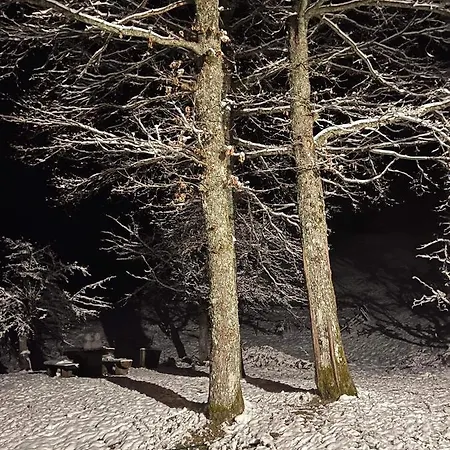 Koliba Za Odmor U Prirodi
