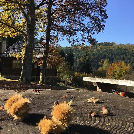 Koliba Za Odmor U Prirodi * フォイニツァ